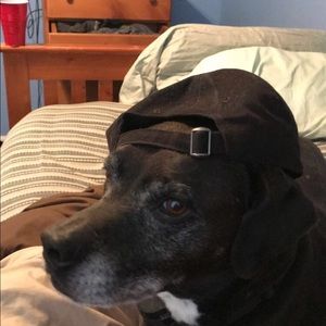 Meet your Posher, Curtis